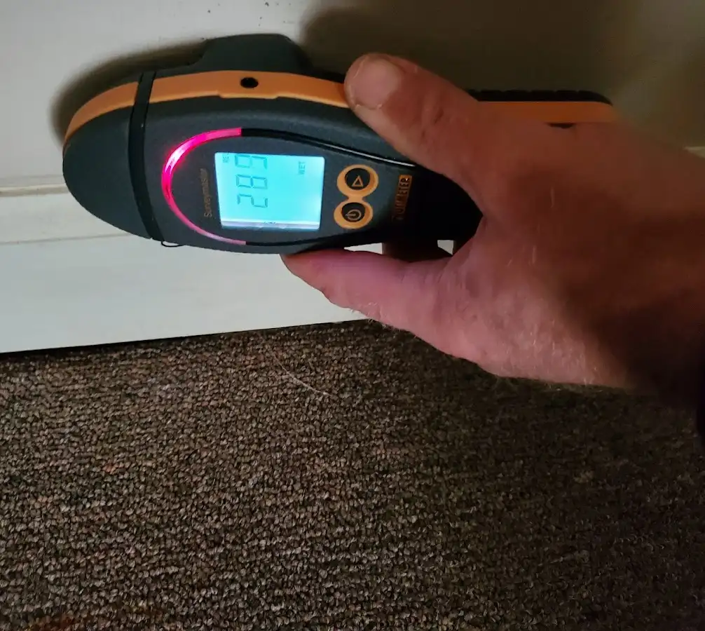 Moisture detection at baseboard during Sewage Cleanup & Sanitation in Oakdale